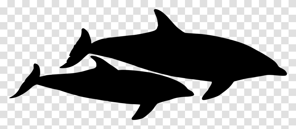 Dolphin Vector Graphic Dolphin Vector, Gray, World Of Warcraft Transparent Png