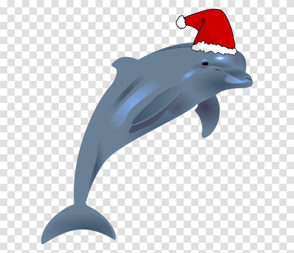 Dolphin With Santa Hat Clipart Dolphins, Mammal, Sea Life, Animal, Shark Transparent Png