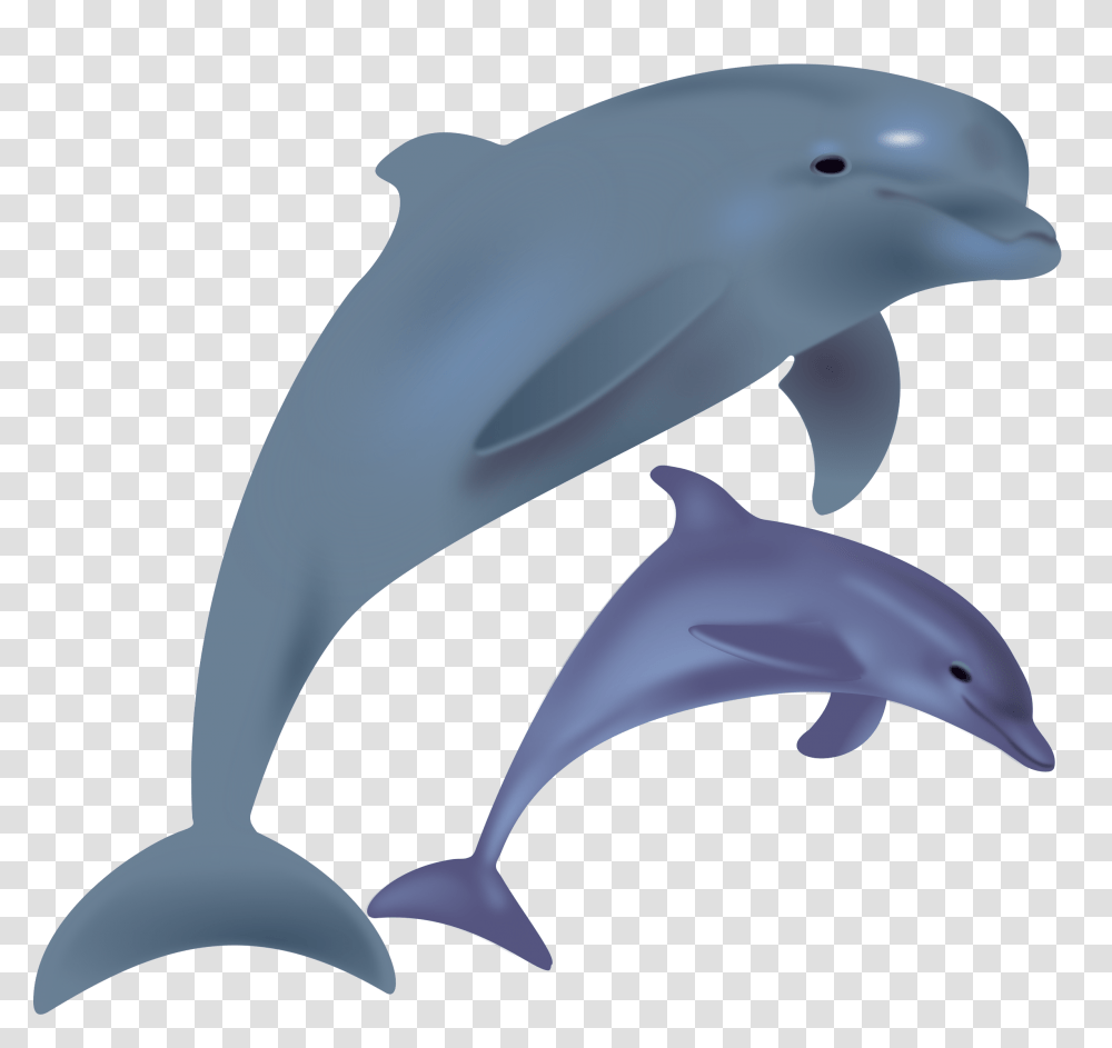 Dolphines Clipart Thing, Mammal, Sea Life, Animal, Bird Transparent Png