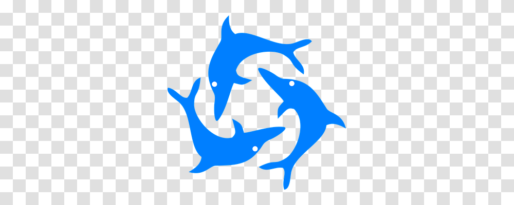 Dolphins Animals, Sea Life, Mammal, Shark Transparent Png