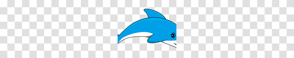 Dolphins Clip Art Cartoon Dolphin Clipart, Sea Life, Animal, Mammal, Baseball Cap Transparent Png