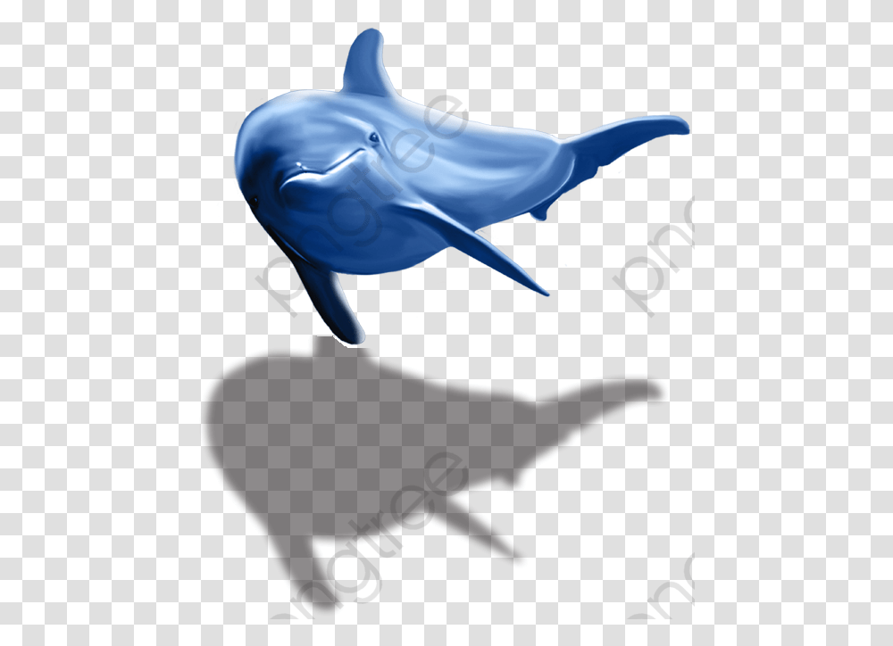Dolphins Clipart Dolphin, Sea Life, Animal, Mammal, Whale Transparent Png