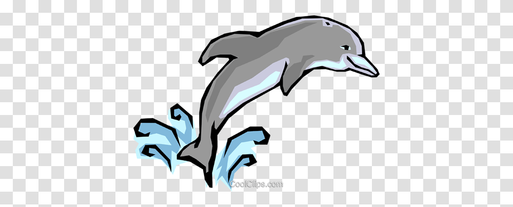 Dolphins Royalty Free Vector Clip Art Illustration, Sea Life, Animal, Mammal, Bird Transparent Png