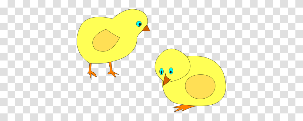 Domestic Canary Canaries Hybrids And British Birds In Cage, Animal, Poultry, Fowl, Chicken Transparent Png
