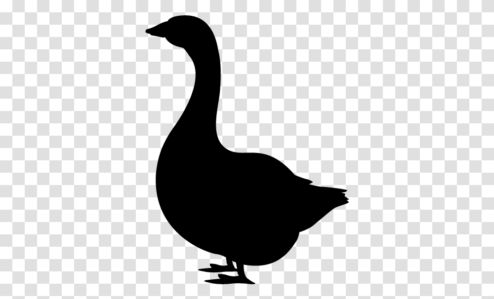 Domestic Duck Silhouette Goose Clip Art, Gray, World Of Warcraft Transparent Png