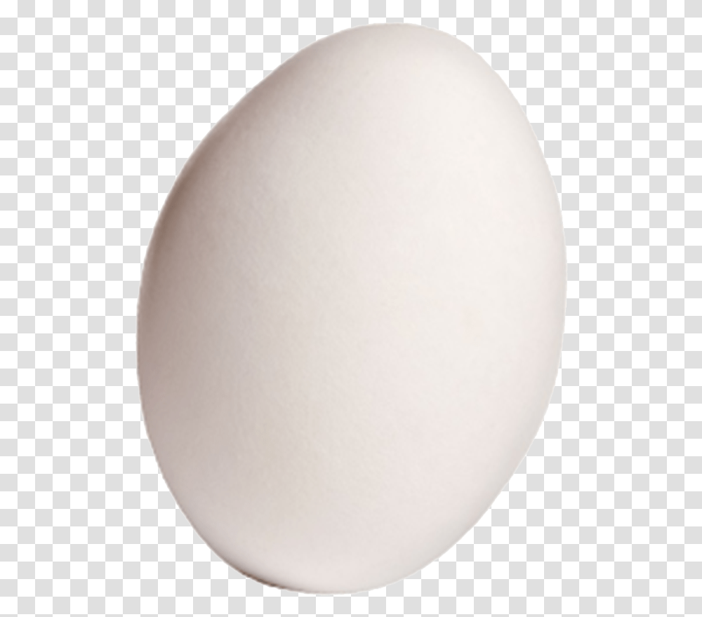 Domestic Goose Egg Circle, Food, Balloon, Easter Egg Transparent Png