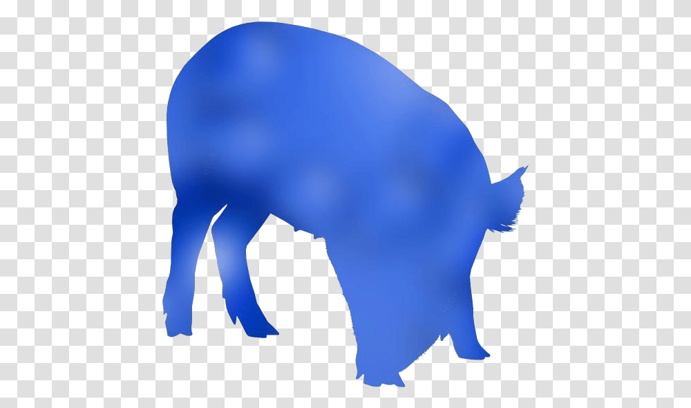 Domestic Pig Clipart For Download Pig, Mammal, Animal, Wildlife, Bear Transparent Png