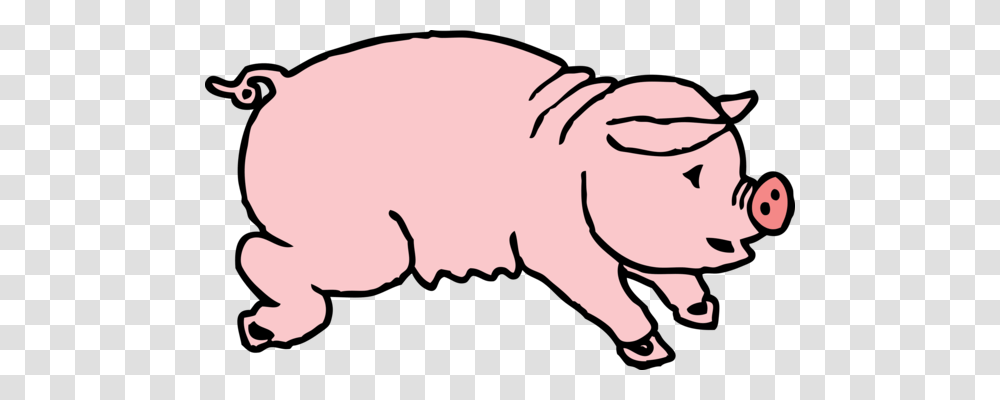 Domestic Pig Images Under Cc0 License, Mammal, Animal, Cat, Pet Transparent Png