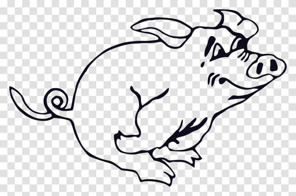 Domestic Pig Line Art Drawing Download, Hand, Light, Cat Transparent Png