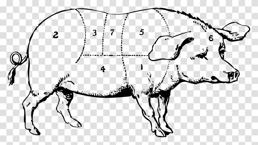 Domestic Pig Pork Chop Ham Pig Roast, Gray, World Of Warcraft Transparent Png