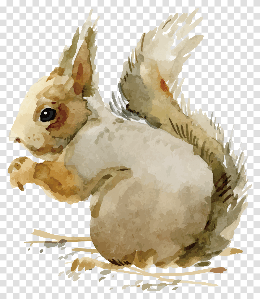 Domestic Rabbit Adobe Illustrator Vintage Images Of Animals In Fall, Bird, Poultry, Fowl, Grouse Transparent Png