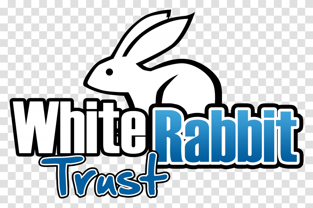 Domestic Rabbit, Animal, Mammal, Rodent, Bunny Transparent Png