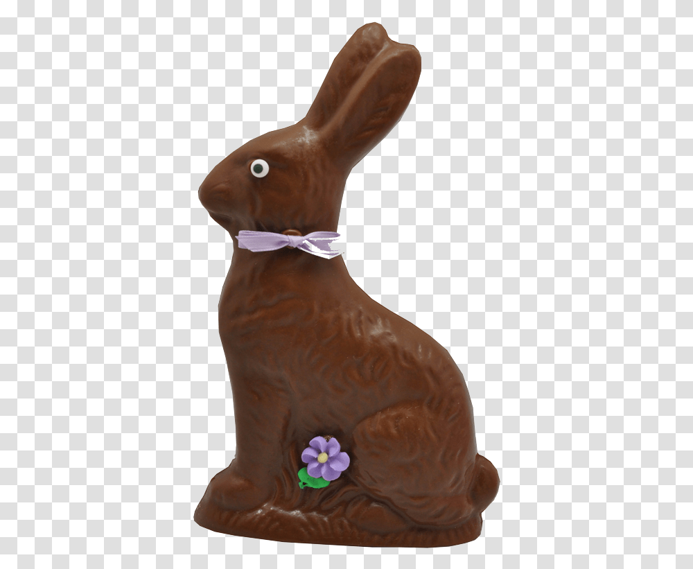 Domestic Rabbit, Animal, Outdoors, Bird Transparent Png