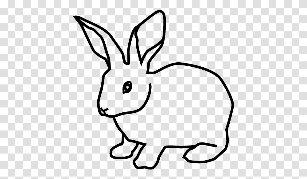 Domestic Rabbit, Gray, World Of Warcraft Transparent Png