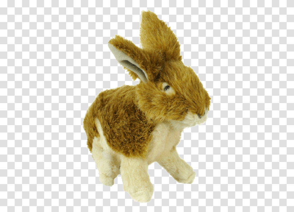 Domestic Rabbit, Hare, Rodent, Mammal, Animal Transparent Png