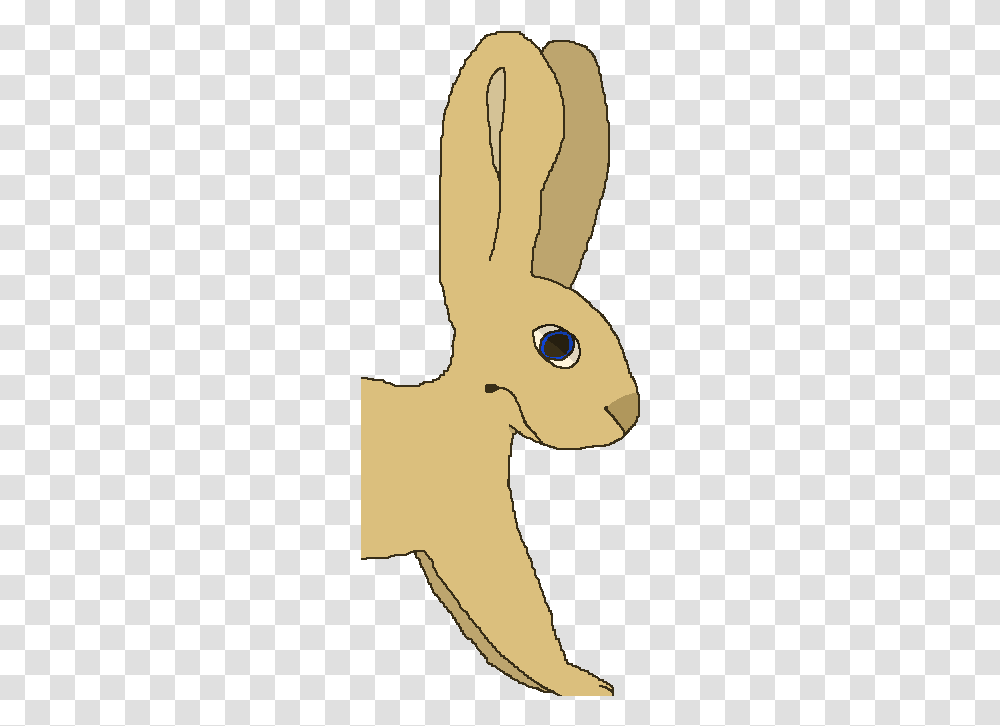 Domestic Rabbit, Mammal, Animal, Rodent, Bunny Transparent Png