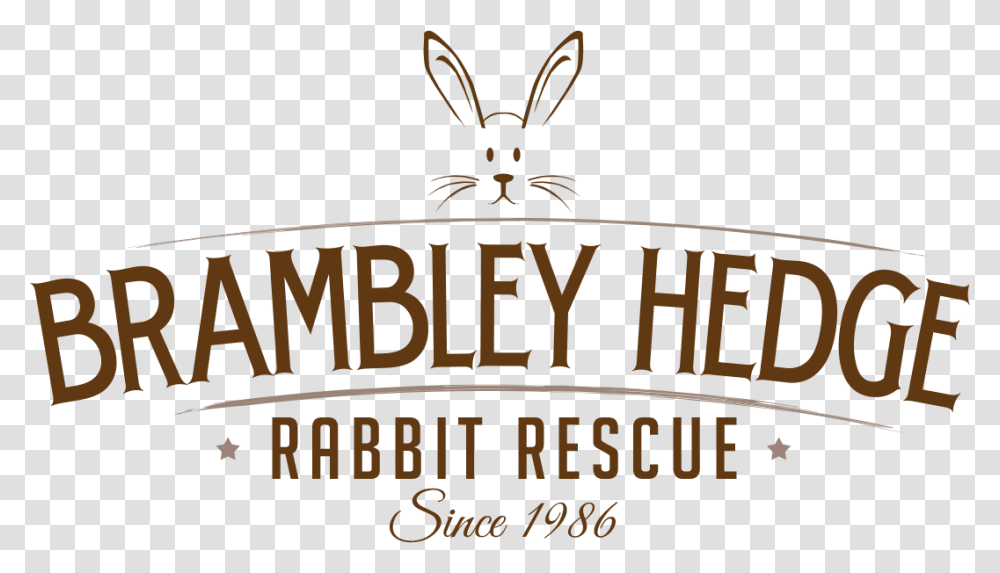 Domestic Rabbit, Mammal, Animal, Rodent Transparent Png