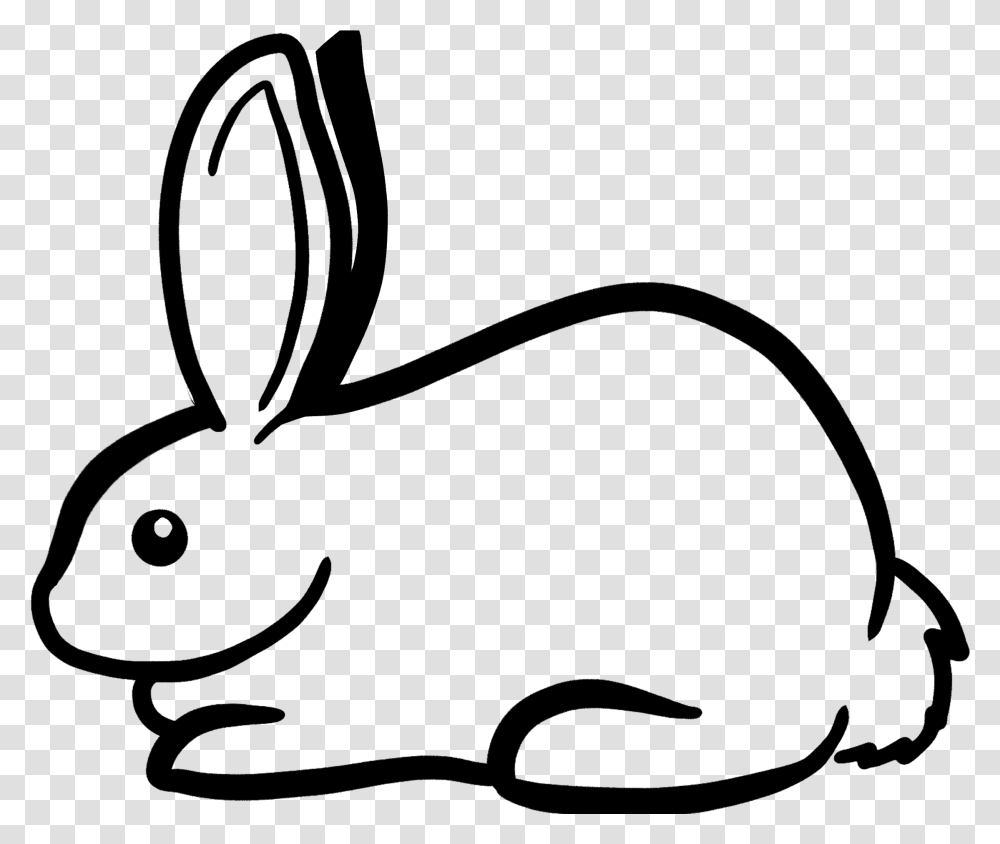 Domestic Rabbit, Nature, Outdoors, Outer Space, Astronomy Transparent Png