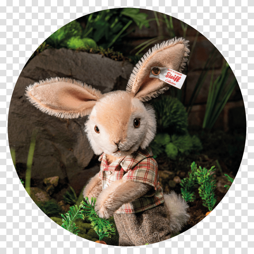 Domestic Rabbit, Plush, Toy, Mammal, Animal Transparent Png