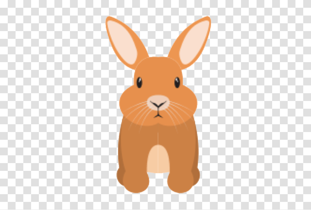 Domestic Rabbit, Rodent, Mammal, Animal, Bunny Transparent Png