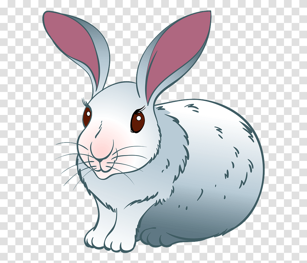 Domestic Rabbit, Rodent, Mammal, Animal, Hare Transparent Png
