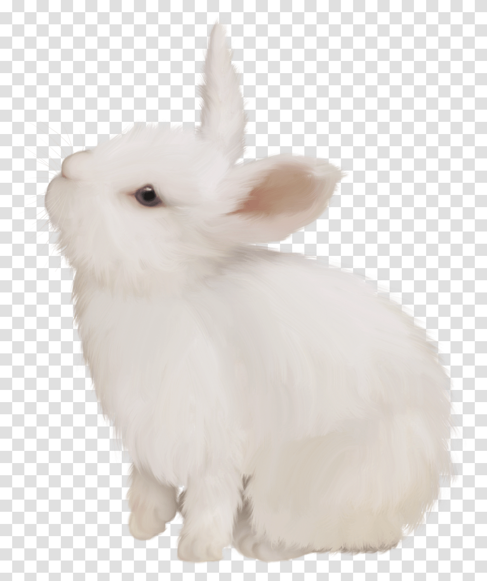 Domestic Rabbit White Rabbit Easter Bunny European Domestic Rabbit, Chicken, Poultry, Fowl, Bird Transparent Png