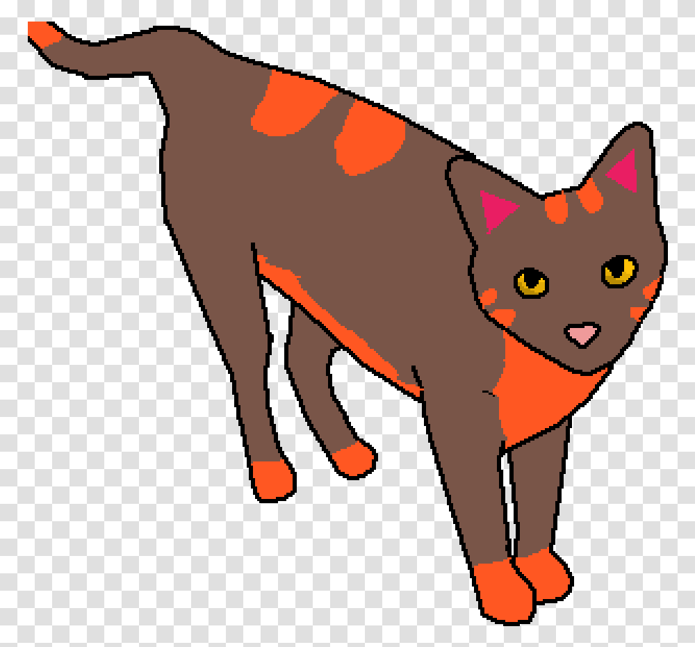 Domestic Short Haired Cat, Animal, Mammal, Pet Transparent Png