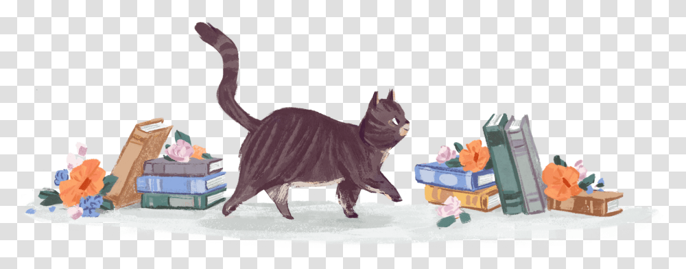 Domestic Short Haired Cat, Animal, Pet, Mammal, Manx Transparent Png