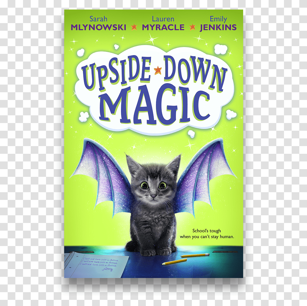 Domestic Short Haired Cat, Flyer, Poster, Paper, Advertisement Transparent Png