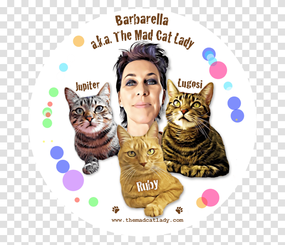 Domestic Short Haired Cat, Pet, Mammal, Animal, Advertisement Transparent Png