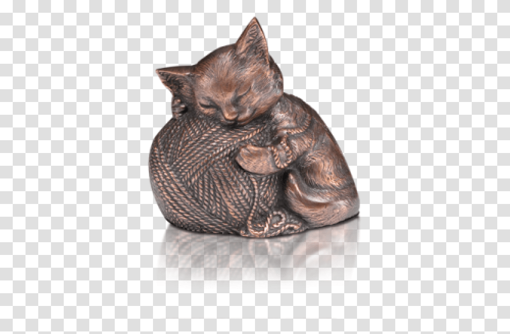 Domestic Short Haired Cat, Pet, Mammal, Animal, Bronze Transparent Png