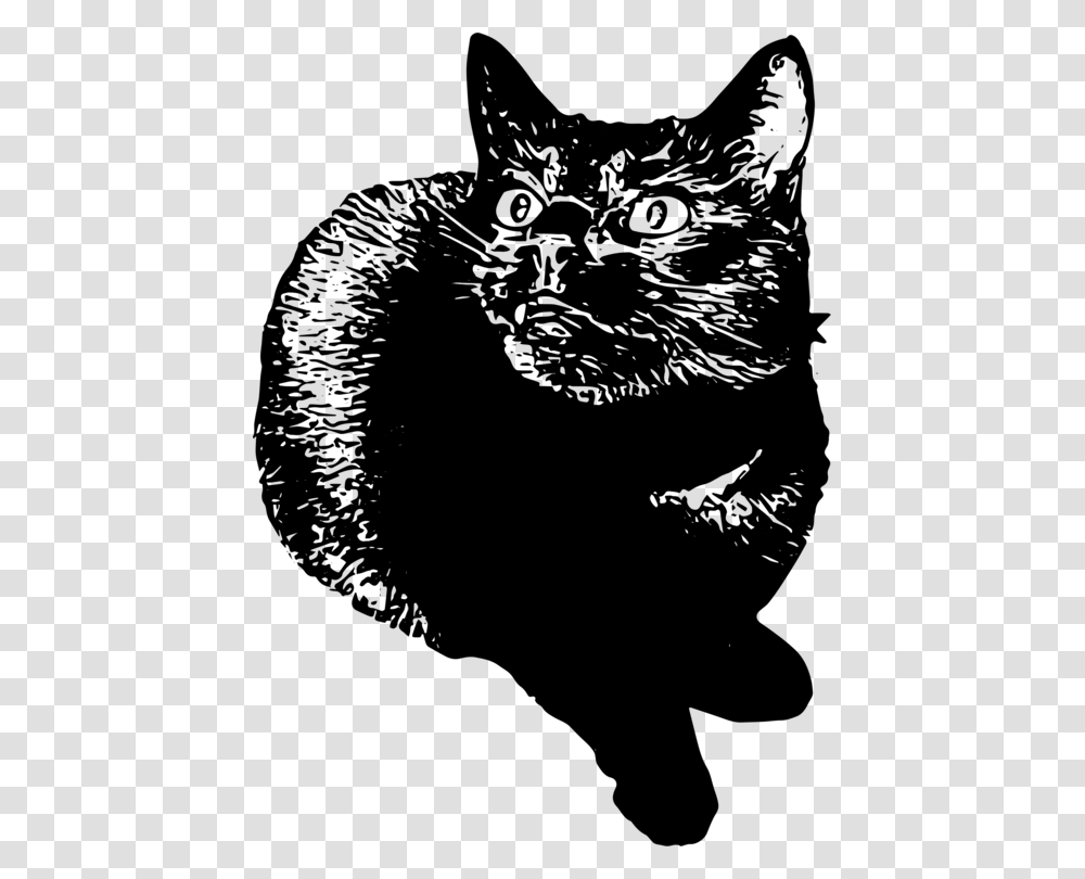 Domestic Short Haired Catsnoutmonochrome Domestic Short Haired Cat, Gray Transparent Png