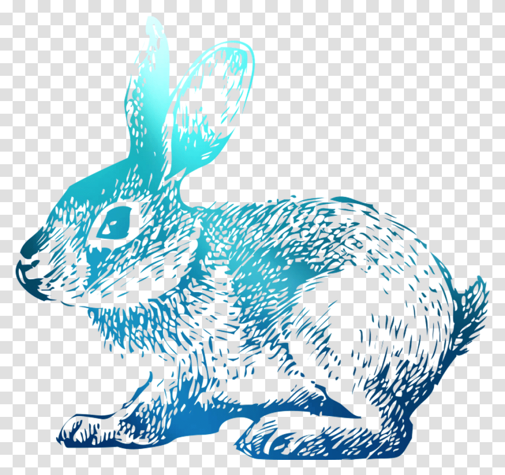 Domestic T Shirt Hoppy Rabbit Easter Bunny Clipart Rabbit, Hare, Rodent, Mammal Transparent Png