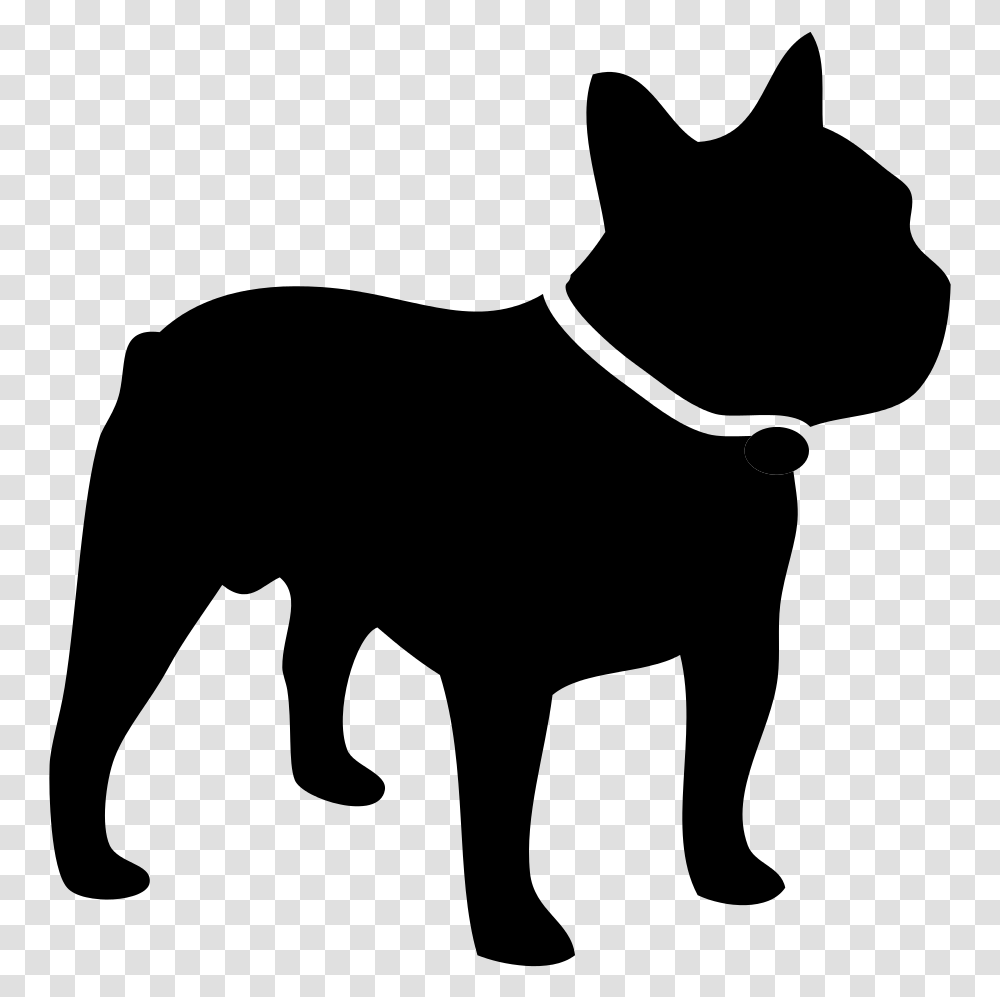 Domesticated And Feral Heat Stroke French Bulldog, Gray, World Of Warcraft Transparent Png
