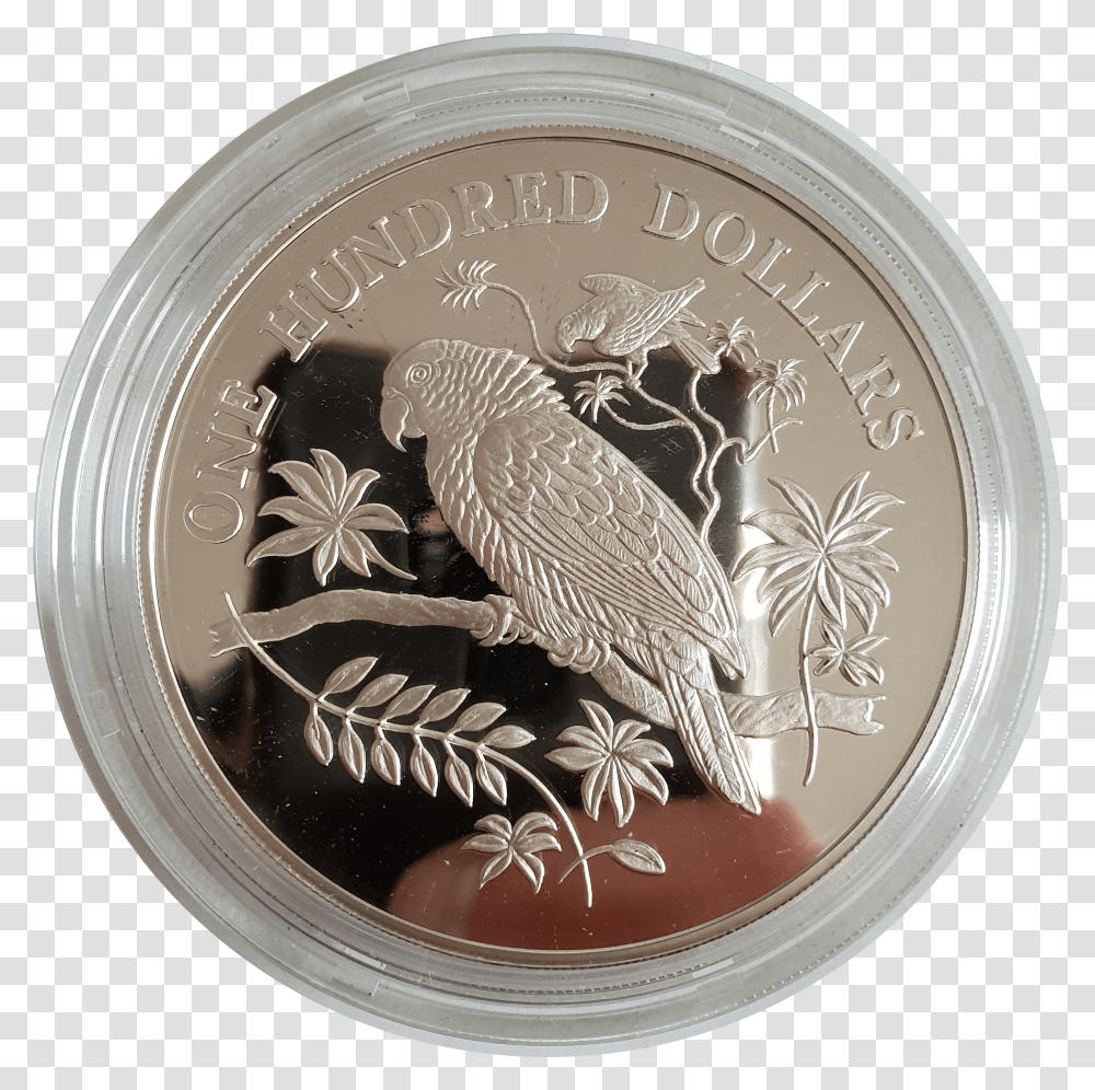 Dominica 100 Dollars Imperial Amazon 1988 Silver Coin Transparent Png