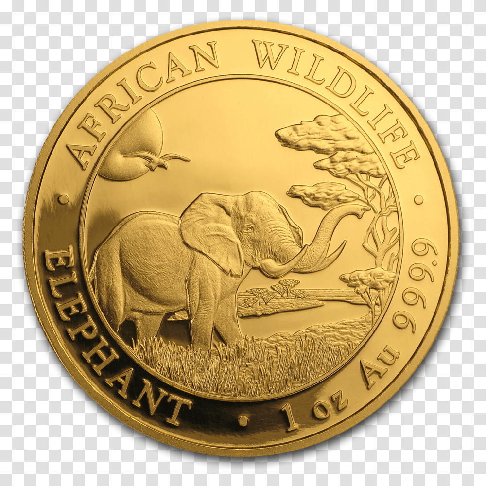 Dominican Republic Gold Coins, Money, Rug Transparent Png
