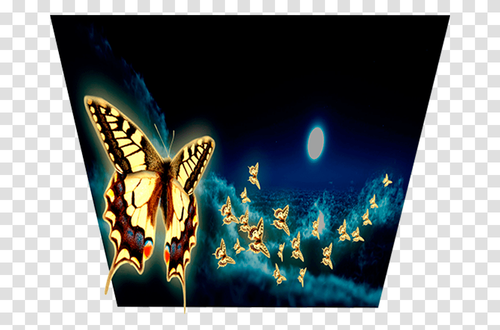 Don't Believe Your Eyes Night Glow Night Ambient Moonlight Papilio, Nature, Outdoors, Lighting, Animal Transparent Png