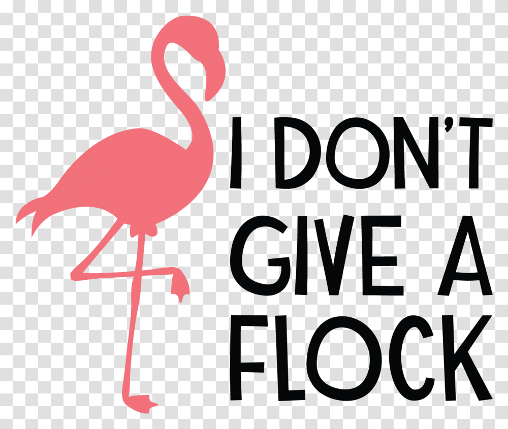 Don't Give A Flock, Flamingo, Bird, Animal Transparent Png