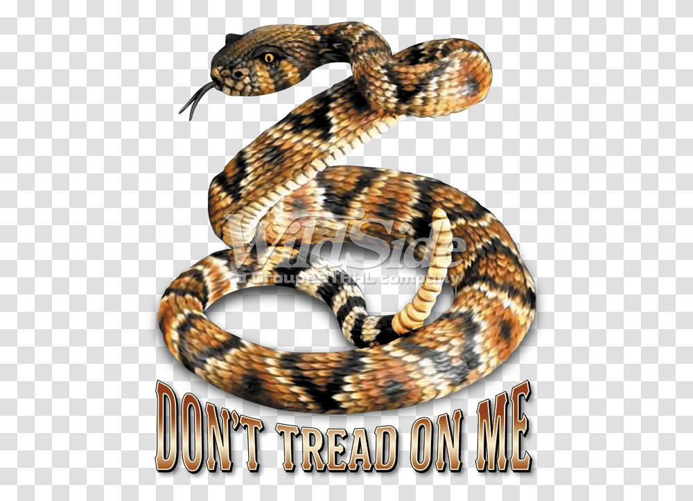 Don't Tread On Me, Snake, Reptile, Animal, Rattlesnake Transparent Png
