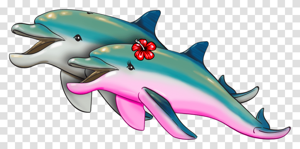 Donald Amp Daisy The Dolphins Common Bottlenose Dolphin, Mammal, Sea Life, Animal, Shark Transparent Png