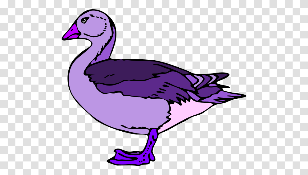 Donald Duck Baby Ducks Clip Art, Bird, Animal, Goose, Waterfowl Transparent Png