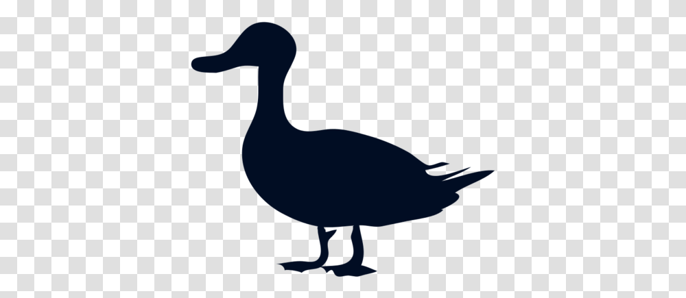 Donald Duck Mallard Silhouette Clip Art Belligerent Duck, Animal, Bird, Goose, Waterfowl Transparent Png