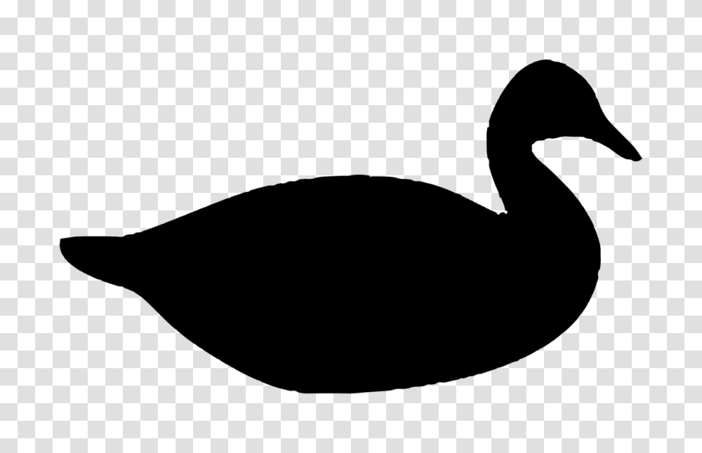 Donald Duck Mallard Silhouette Drawing, Gray, World Of Warcraft Transparent Png