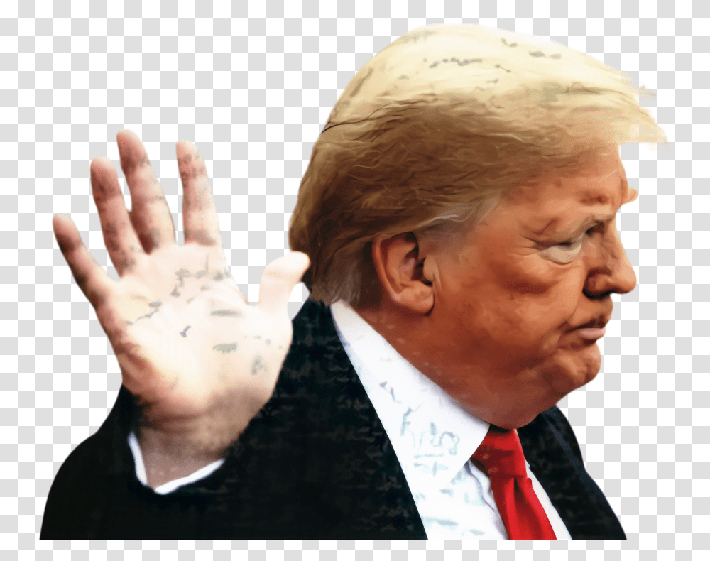 Donald Trump 2017 Presidential Inauguration The Truth Donald Trump, Tie, Accessories, Person, Finger Transparent Png