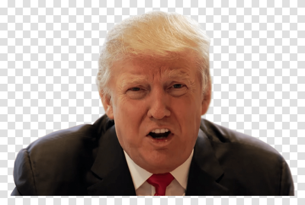 Donald Trump Businessperson, Tie, Accessories, Face, Head Transparent Png