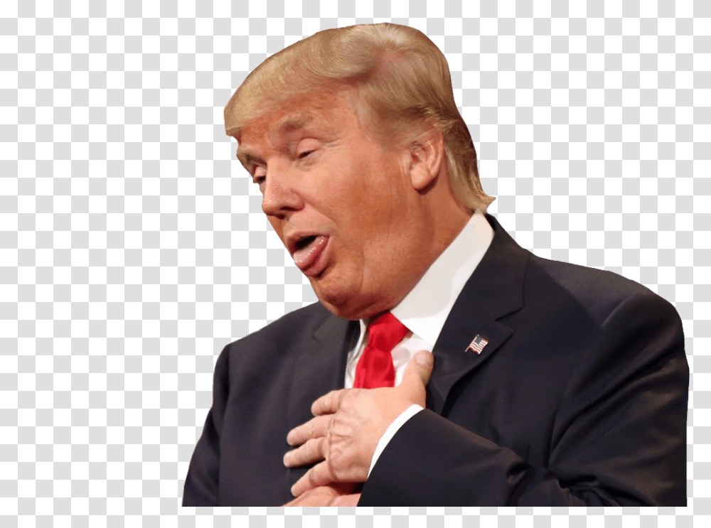 Donald Trump, Celebrity, Audience, Crowd, Person Transparent Png