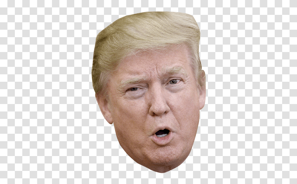 Donald Trump, Celebrity, Face, Person, Human Transparent Png