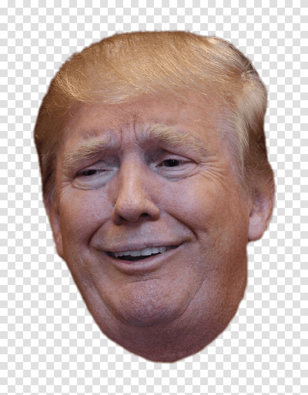 Donald Trump, Celebrity, Head, Face, Person Transparent Png
