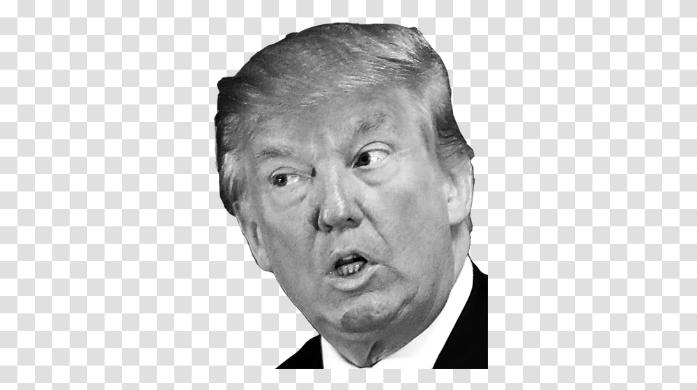 Donald Trump, Celebrity, Head, Face, Person Transparent Png