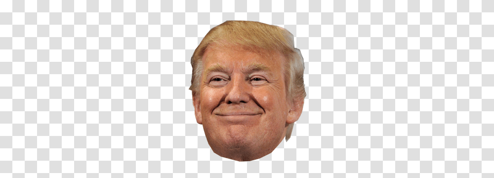 Donald Trump, Celebrity, Head, Face, Person Transparent Png